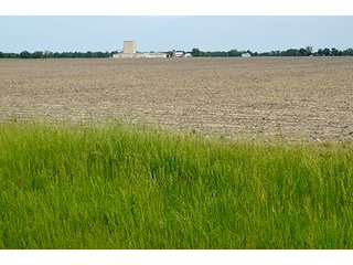Property photo 44 - FARM & LAND AUCTION - 125+/- ACRES OFFERED IN 5 TRACTS IN EAST ALLEN COUNTY, INDIANA